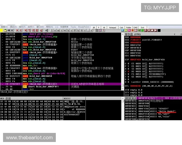 凯发网娱乐下载：新手必看入门指南与常见问题解答